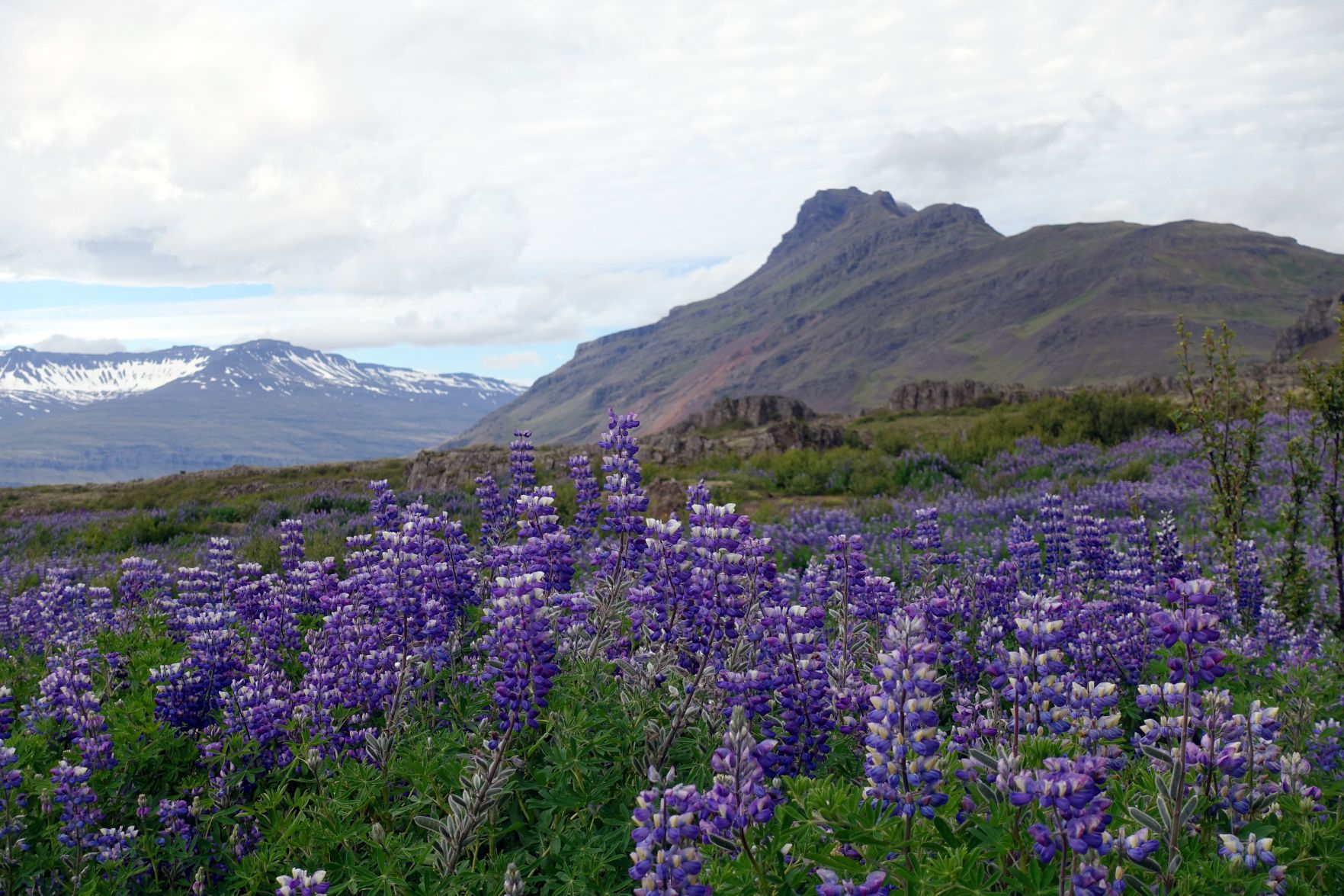 Iceland